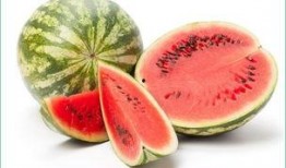 孕期可以吃小瓜,小瓜的營養與食用指南