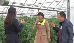 吃瓜群眾圍觀打小三,小三風波引發(fā)全民熱議