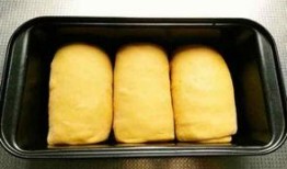 老玉瓜怎么吃,解鎖美味新體驗(yàn)