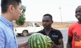 瓜不能隨便吃視頻,揭秘不能隨便吃的瓜類真相