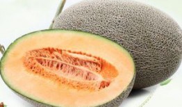 減脂可以吃哈密瓜不加熱,生食美味，輕松瘦身