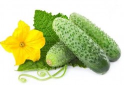 若楠吃瓜系統,網絡輿論場的新寵兒