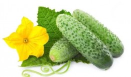 若楠吃瓜系統(tǒng),網(wǎng)絡(luò)輿論場的新寵兒