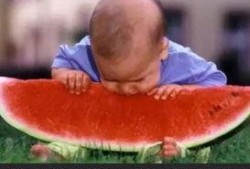 吃瓜大賽視頻全集,全程回顧，笑料百出，年度爆笑盛宴