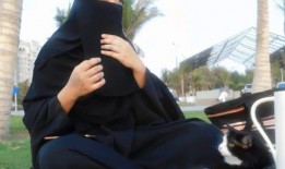 娛樂吃瓜君17,揭秘娛樂圈最新熱點事件