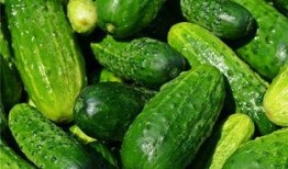 夢如吃瓜,揭秘娛樂圈的甜蜜與苦澀