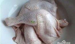 叼著雞腿吃瓜,品味生活百態