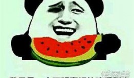 吃瓜吃吐了是什么意思,揭秘“吃瓜吃吐了”的深層含義