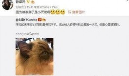 吃瓜扒姐微博,娛樂圈幕后真相大曝光