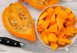 黃玉瓜怎么吃,探索美味與營(yíng)養(yǎng)的完美結(jié)合