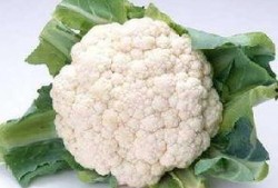 菜花夫婦吃瓜,娛樂圈背后的那些事兒