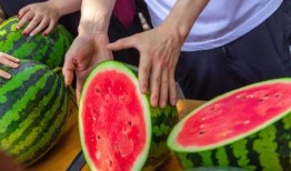 學校吃瓜網站,揭秘學校吃瓜網站背后的熱點事件