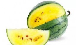 帶你吃瓜自創(chuàng)地圖,揭秘神秘世界之旅