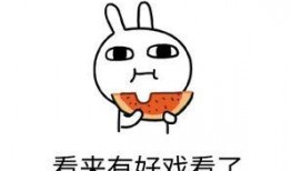 專注吃瓜40年,揭秘娛樂圈幕后風云