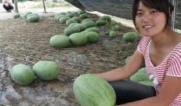 工程吃瓜,揭秘建筑行業(yè)背后的趣味故事