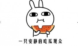 內涵吃瓜,圍觀背后的社會心理與文化內涵