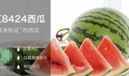 工程吃瓜,揭秘建筑行業(yè)背后的趣味故事