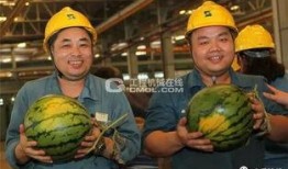 工程吃瓜,揭秘建筑行業(yè)背后的趣味故事