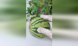 爆爆珠吃瓜,揭秘娛樂圈那些不為人知的幕后故事