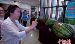 濰坊山東吃瓜群眾,吃瓜群眾的夏日狂歡