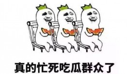 吃瓜都用什么網絡用語,揭秘網絡吃瓜用語背后的趣味與智慧